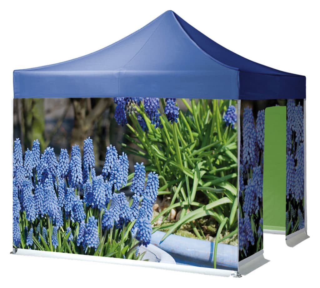 Qualytent Big Print – fiori blu – 01 Qualytent Big Print - Blumen blau - 01